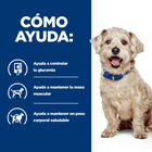 Hill's Prescription Diet Diabetes Care w/d Pollo pienso para perros, , large image number null